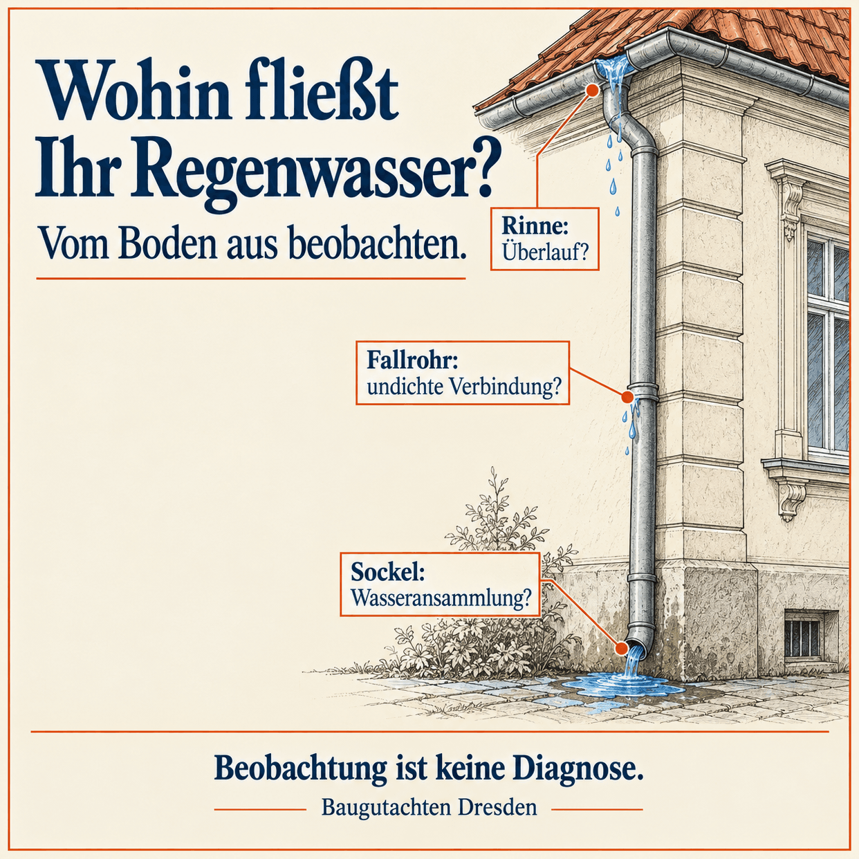 Fachgrafik zu Regenwasser am Haus prüfen: Rinne, Fallrohr und Sockel von Richard Mütze, Baugutachter Dresden